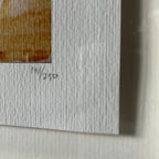 Connor Brothers - Two Of A Kind (Mills & Boon)